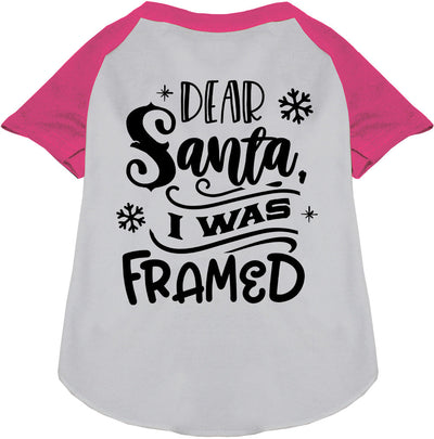 I was Framed! Pet Raglan Shirt-4