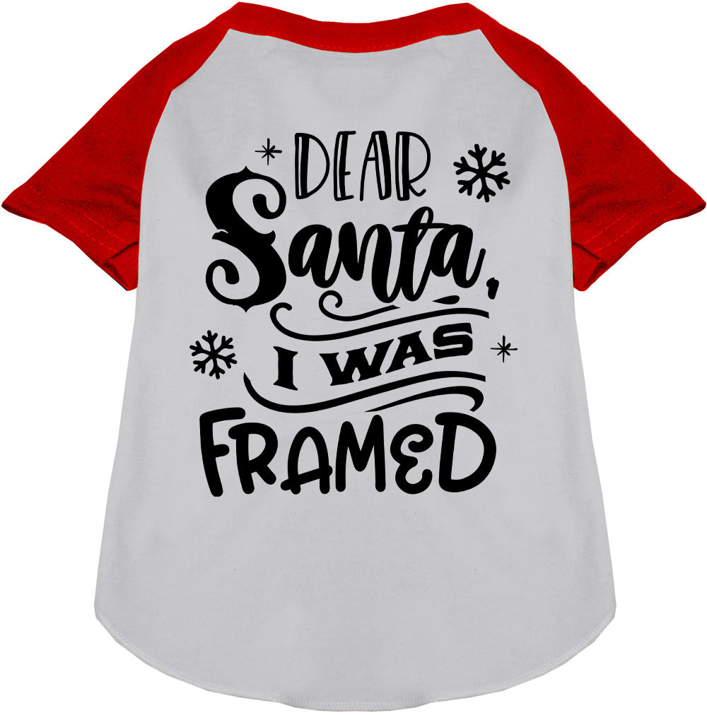 I was Framed! Pet Raglan Shirt