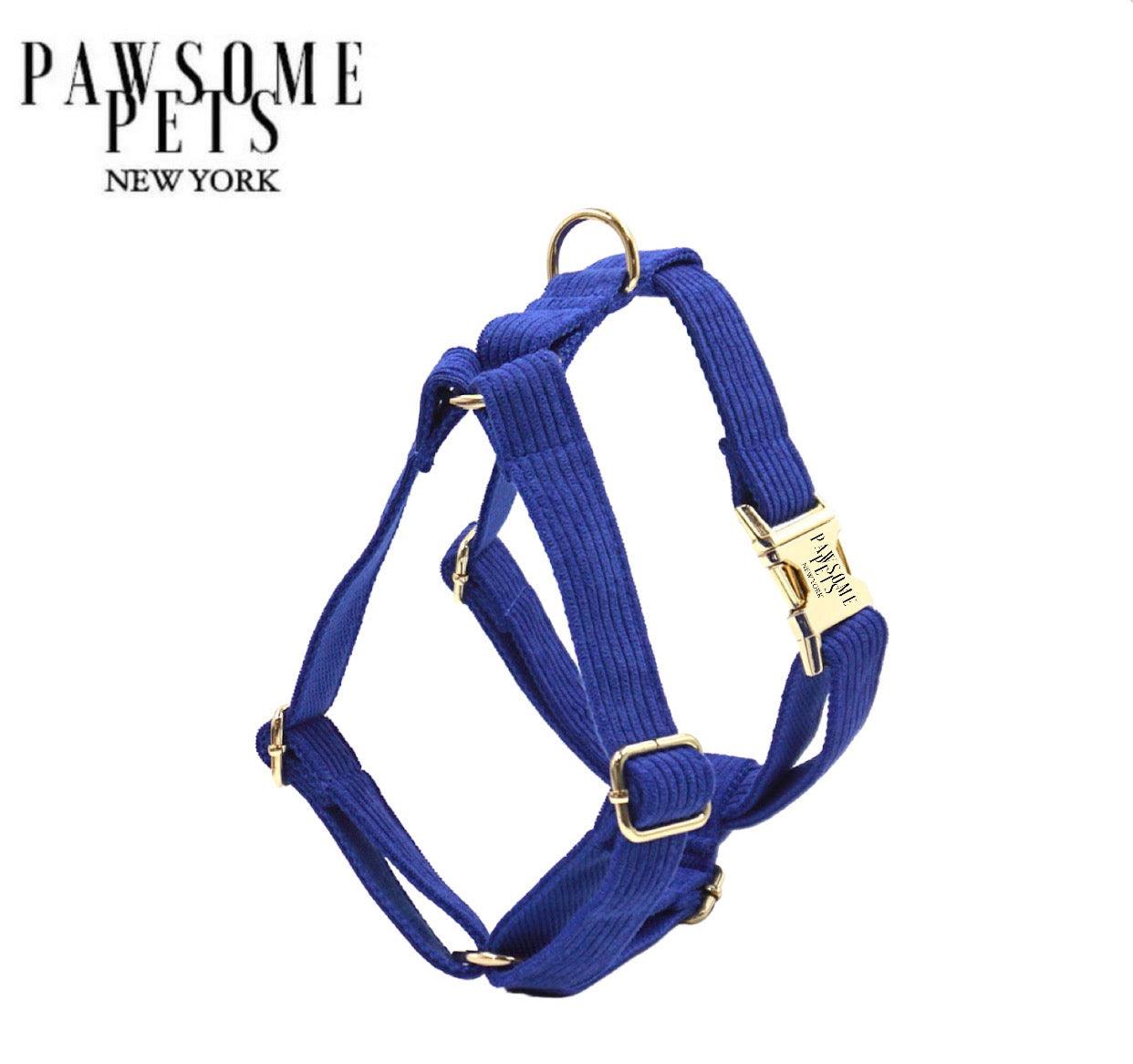 STEP IN HARNESS - BLUE-0