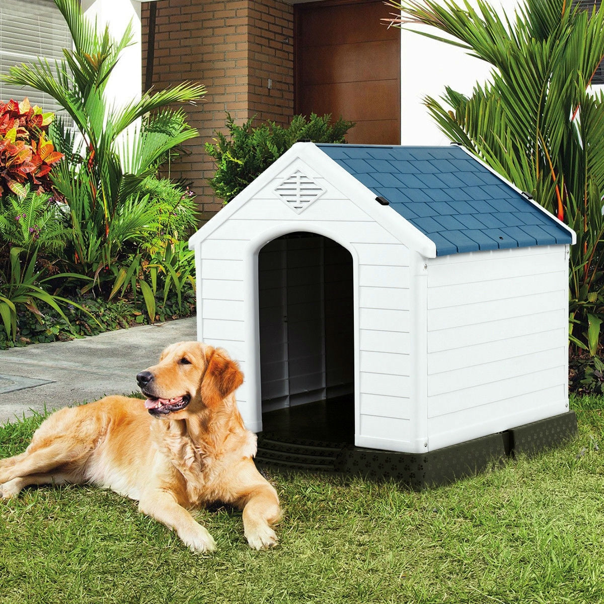 Medium size Dog House Outdoor White Blue Plastic with Elevated Floor-0