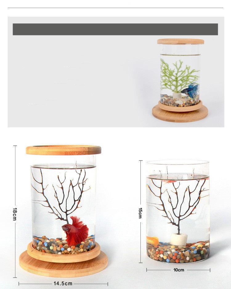 Bamboo Base Mini Glass Aquarium: A Stylish And Compact Fish Tank Decoration-2