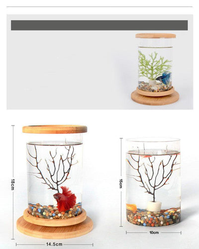 Bamboo Base Mini Glass Aquarium: A Stylish And Compact Fish Tank Decoration-2