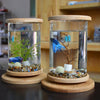 Bamboo Base Mini Glass Aquarium: A Stylish And Compact Fish Tank Decoration