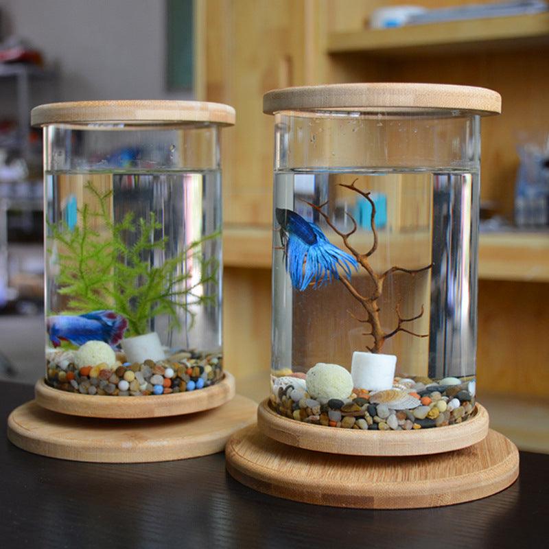 Bamboo Base Mini Glass Aquarium: A Stylish And Compact Fish Tank Decoration