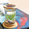 Bamboo Base Mini Glass Aquarium: A Stylish And Compact Fish Tank Decoration-4