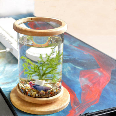 Bamboo Base Mini Glass Aquarium: A Stylish And Compact Fish Tank Decoration-4