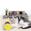 Magic Scratch Wheel - The Ultimate Cat Toy For Endless Fun And Healthy Claws